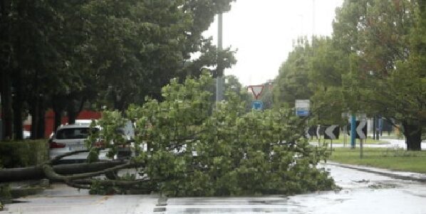 Milano colpita da un altro nubifragio- Alberi caduti, vento a 90 all’ora e aerei dirottati. Si contano i danni