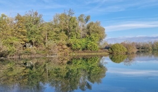 Torino – Rinasce l’area del lago Villaretto dopo 4 anni: torna un’importante oasi naturale