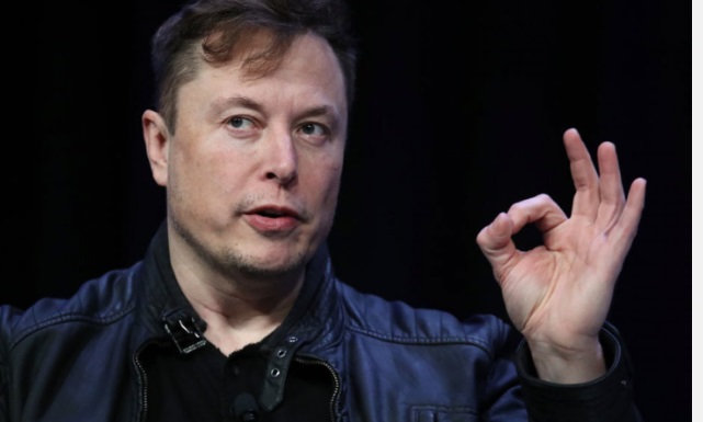 Elon Musk ribadisce: “L’Italia sta morendo, i numeri sono brutali” Il miliardario torna a parlare del crollo demografico