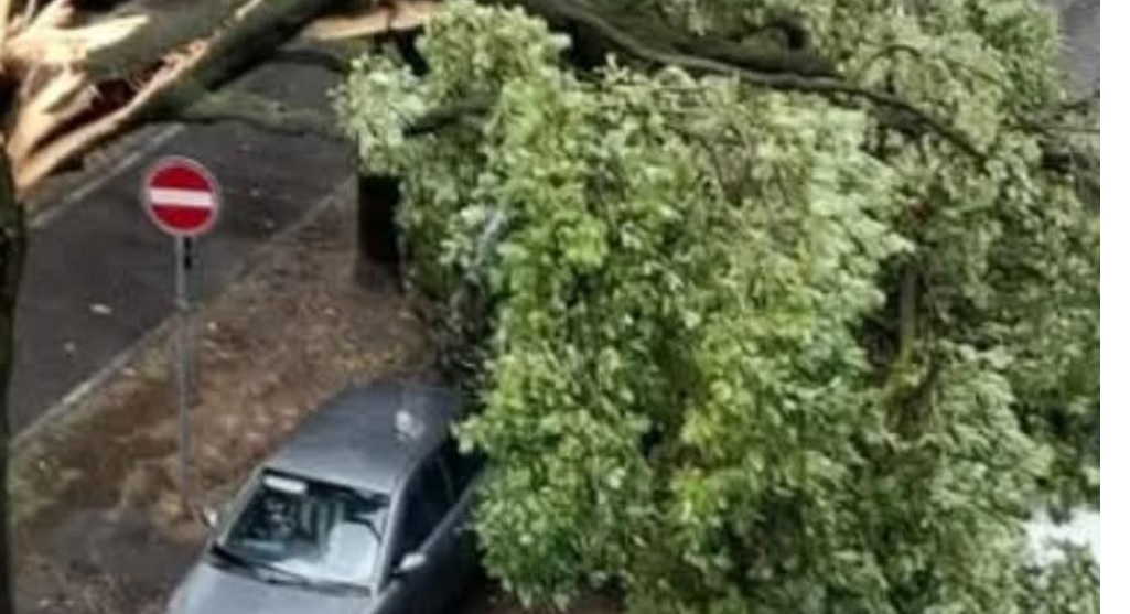 Paura a Torino – Forti temporali, albero crolla e colpisce auto