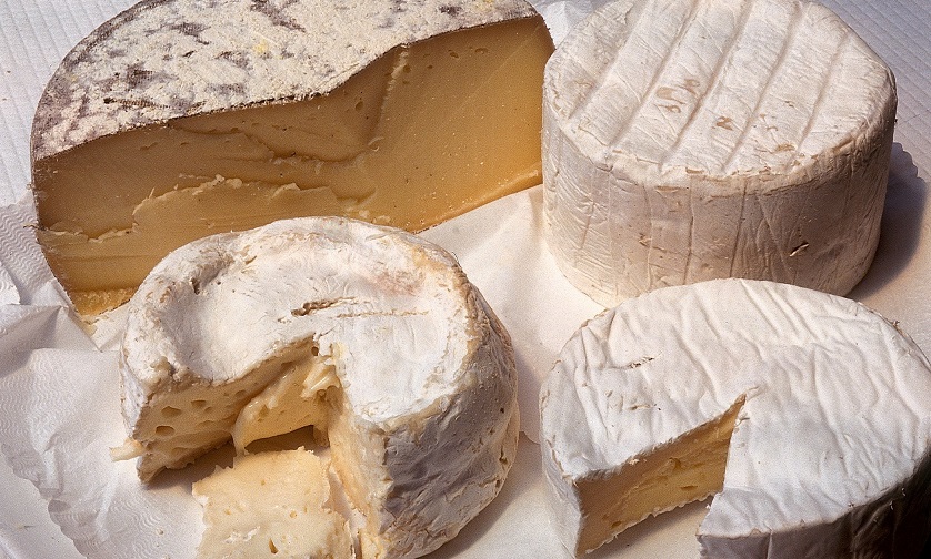 Nel Torinese torna la Fiera della Toma – Il trionfo di un’eccellenza piemontese INFO