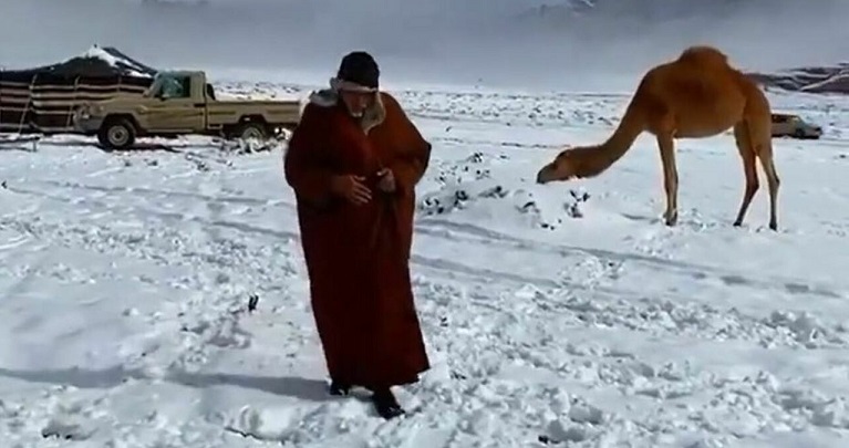 In Arabia Saudita un’eccezionale nevicata – Non accadeva da 30 anni: lo spettacolo del deserto che si tinge di bianco
