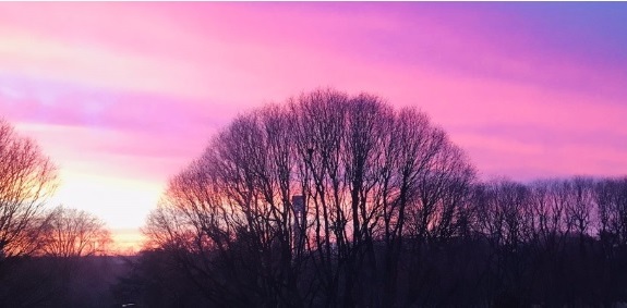 A Milano l’alba si è tinta di rosa – Il particolare fenomeno: uno spettacolo in città