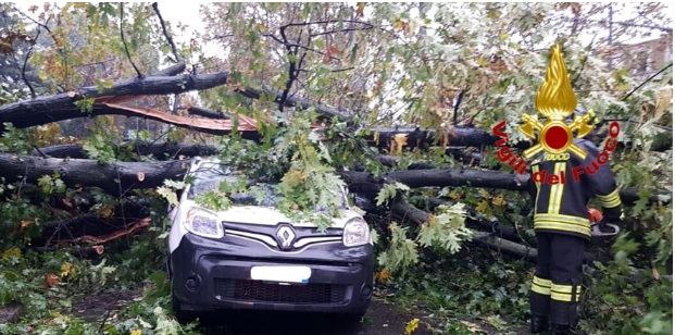 Paura  Milano – Cadono alberi e rami in strada per il temporale. Albero colpisce auto in movimento, tragedia sfiorata