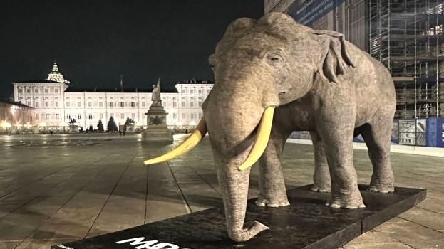 A Torino ingresso gratis al Museo di Scienze Naturali fino a fine Agosto: è uno dei musei più importanti in Italia – Ecco come accedere